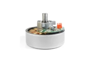 12 volt dc brushless motor tsl bldc 6132