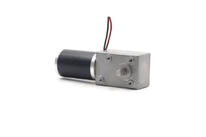 worm gear motor 12v high torque tsl 5882gw 50zy​