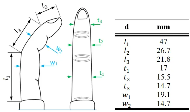 human finger dimensions dexterous hand design