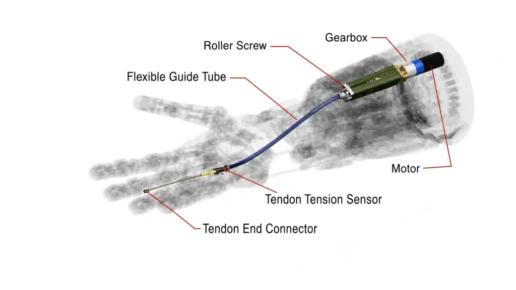 cable driven tendon hand structure