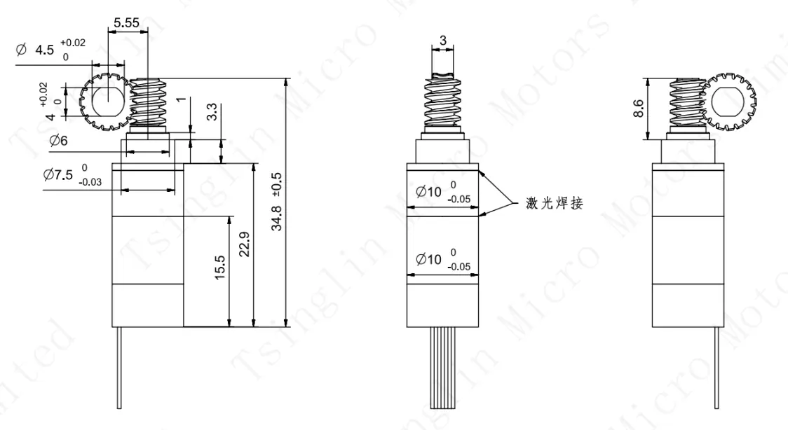 Motor Technical Specifications & Dimensions Technical dimensional drawing of the 10mm stainless steel worm gear motor specifying mechanical dimensions and gear tooth configuration.